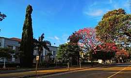 Alfenas - Imagens da cidade de Alfenas - MG