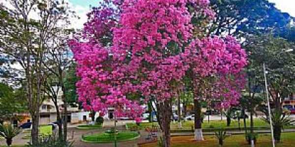 Imagens da cidade de Alvinpolis - MG