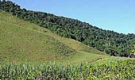 Amparo da Serra - Fazenda-Foto:felipercsilva 