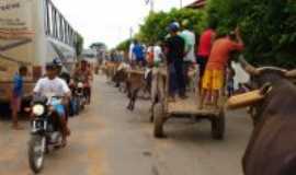 Angicos de Minas - Passeata de carro de boi.Angicos de Minas, Por Carlos Alberto dos santos