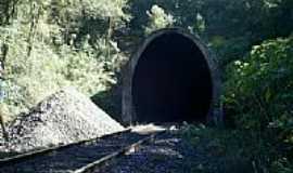 Arantina - Tunel do Espraiado-Foto:Emerson Jean Silva