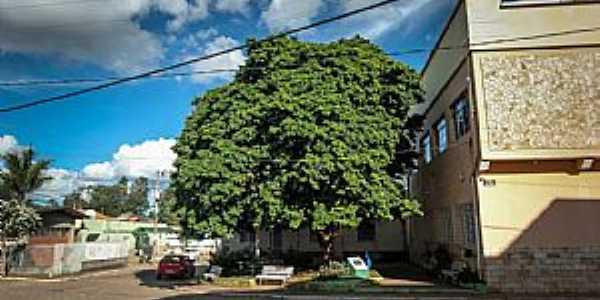 Imagens da cidade de Arantina - MG Foto Prefeitura Municipal