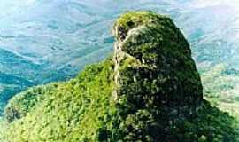 Araponga - pico do bon