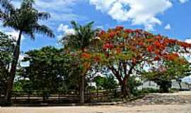 Arajos - Arajos-MG-Imagem de Arajos-Foto:Aender M. Ferreira