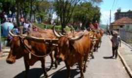 Areado - desfile de carro de boi, Por Leandro Borges