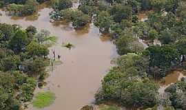 Tapau - Tapau-AM-Reserva Ecolgica do Rio Abufari-Foto:leslie tavares