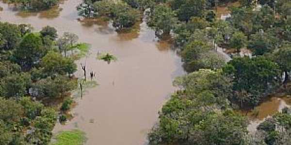 Tapau-AM-Reserva Ecolgica do Rio Abufari-Foto:leslie tavares