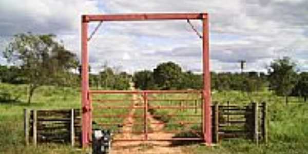 Entrada da Fazenda Tamburilzinho-Foto:Joao Paulo Carvalho 