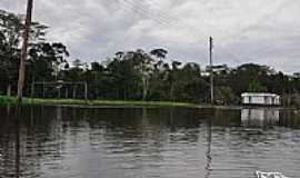 Tef - Completamente alagado na poca das cheias, o campo de futebol de uma das comunidades ribeirinhas na Reserva do Mamirau em Tef-AM-Foto:Rodrigo