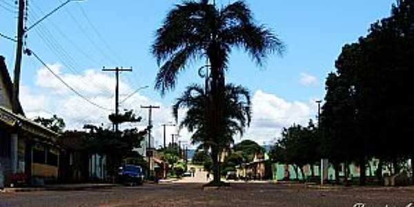 Imagens da localidade de Babilnia Distrito de Delfinpolis - MG