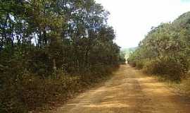 Baro de Cocais - Baro de Cocais-MG-Estrada de terra chegando na cidade-Foto:Jairo Nunes Ferreira