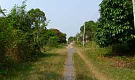 Urucar - Urucar-AM-Caminho do Lago do Castanho-Foto:Miquias Souza