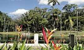 Belo Horizonte - Belo Horizonte-MG-Flores e o Lago do Parque Municipal-Foto:Paulo Yuji Takarada