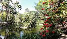 Belo Horizonte - Belo Horizonte-MG-Lago no Parque Municipal Amrico Renn Gianne-Foto:Paulo Yuji Takarada