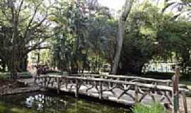 Belo Horizonte - Belo Horizonte-MG-Ponte no Lago do Parque Municipal Amrico Renn Gianne-Foto:Paulo Yuji Takarada