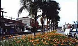 Botelhos - Canteiro Central (Av. Major A. A. Fernades)