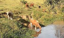 Bueno Brando - Imagens da cidade de Bueno Brando - MG Foto Prefeitura Municipal