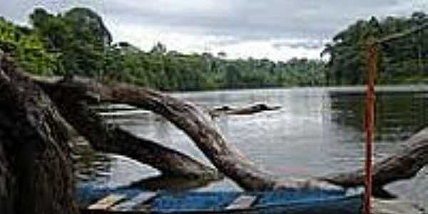 Rio Amapari em Amapari-AP-Foto:Carol Stellfeld