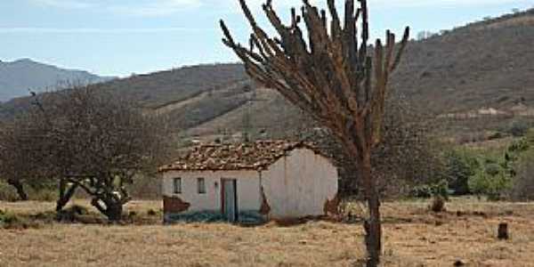 Caatinga-MG-rea rural-Foto:www.flickr.com 