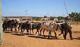 Cabeceira Grande - Carreata de bois-Foto:dinkold 