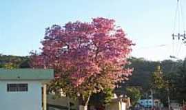 Cachoeira da Prata - Cachoeira da Prata