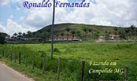 Campolide - Fazenda em Campolide-Foto:Ronaldo Fernandes Ol