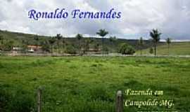 Campolide - Vista de fazenda em Campolide-Foto:Ronaldo Fernandes Ol