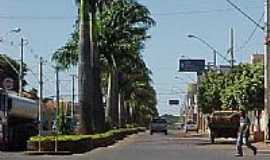 Campos Gerais - Avenida Getlio Vargas-Foto:Paulo Daniel