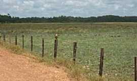 Caloene - Estrada da Praia do Goiabal em Caloene-Foto:Elder Fbio