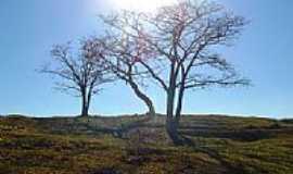 Capim Branco - Imagem rural