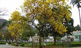 Caratinga - Caratinga-MG-Ip amarelo na praa-Foto:@MohammadAlberth