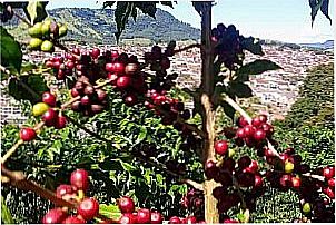 Imagens da cidade de Carmo de Minas - MG