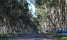 Carmo do Paranaba - Entrada da cidade - Por por Neide Oliveira