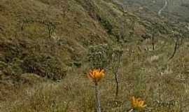 Carrancas - Serra de Carrancas