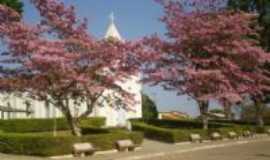 Cedro do Abaet - jardim da igreja, Por Ilis