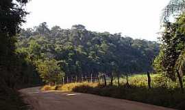 Conceio de Minas - Conceio de Minas-MG-Estrada para o Distrito-Foto:Jos Rosrio