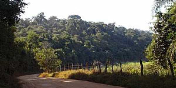 Conceio de Minas-MG-Estrada para o Distrito-Foto:Jos Rosrio