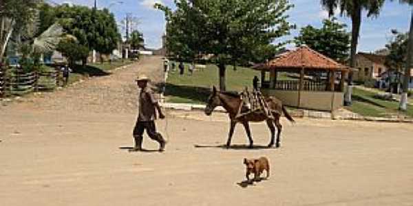 Imagens da localidade de Conceio do Formoso Distrito de Santos Dumont - MG