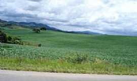 Conceio do Rio Verde - Paisagem da regio-Foto:Paulo Roberto de Car [Panoramio]