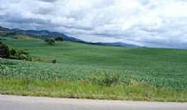 Conceio do Rio Verde - Paisagem da regio-Foto:Paulo Roberto de Car [Panoramio]