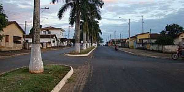 Delfinpolis-MG-Avenida de Acesso-Foto:Alexandre Bonacini