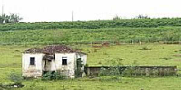 Casa no interior-Foto:Altemiro Olinto Cris