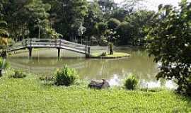 Dom Modesto - Imagem da cidade de Dom Modesto - MG