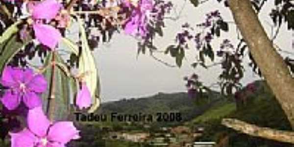 Vista parcial de Dom Silvrio-MG, detalhe de uma Quaresmeira em flor
