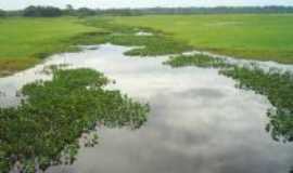 Macap - LAGO CURIA, Por Maria Santos