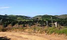 Ervlia - Ervlia-MG-Vista da Represa da Usina-Foto:Amarildo Souza