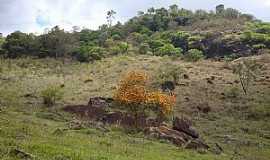 Estevo de Arajo - Estevo de Arajo-PE-Flores no p da Serra-Foto:J Arajo