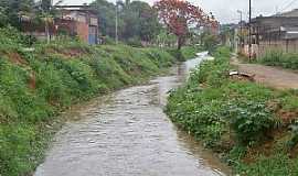 Floresta - Floresta-MG-Ribeiro no Bairro-Foto:pt.wikipedia.org