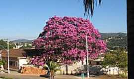 Florestal - Escola estadual serafim ribeiro de rezende
