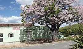 Frei Inocncio - Rua de Frei Inocncio-MG-Foto:montanha